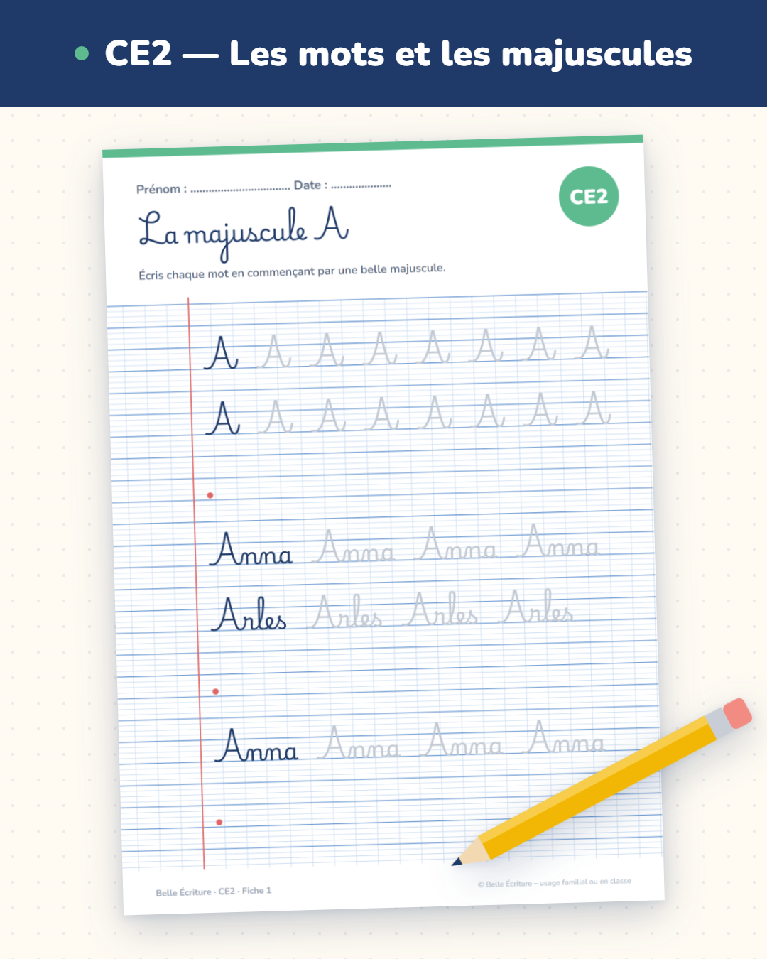 CE2 — Les mots et les majuscules